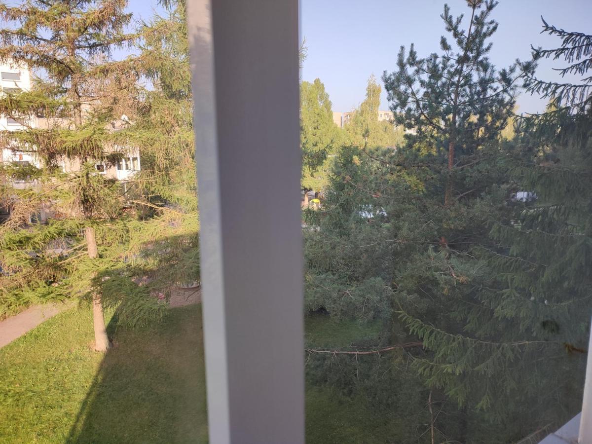Shortstoppasilaiciai Вилнюс Екстериор снимка